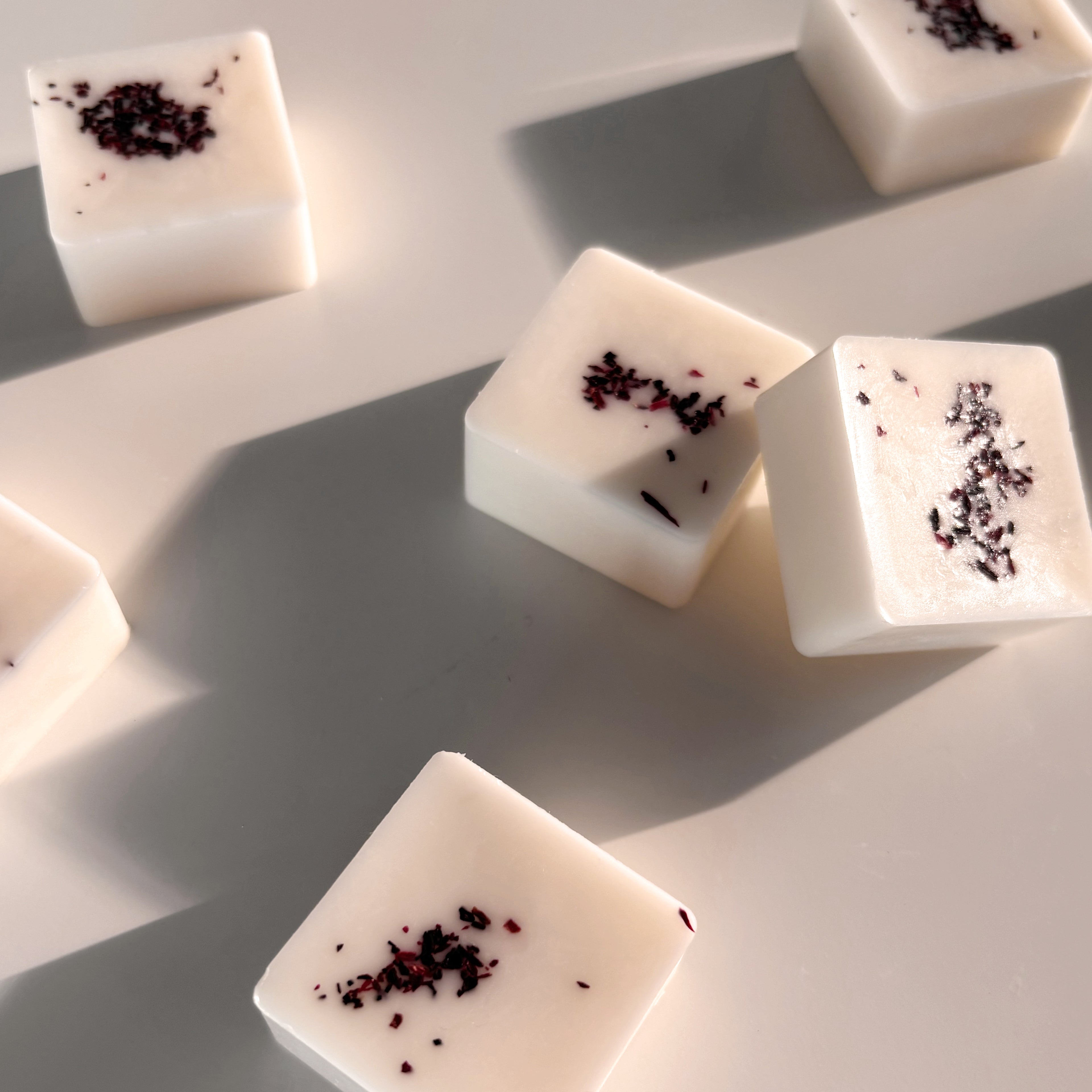 Dark Plum & Rhubarb - 6 Botanical Soy Wax Melts
