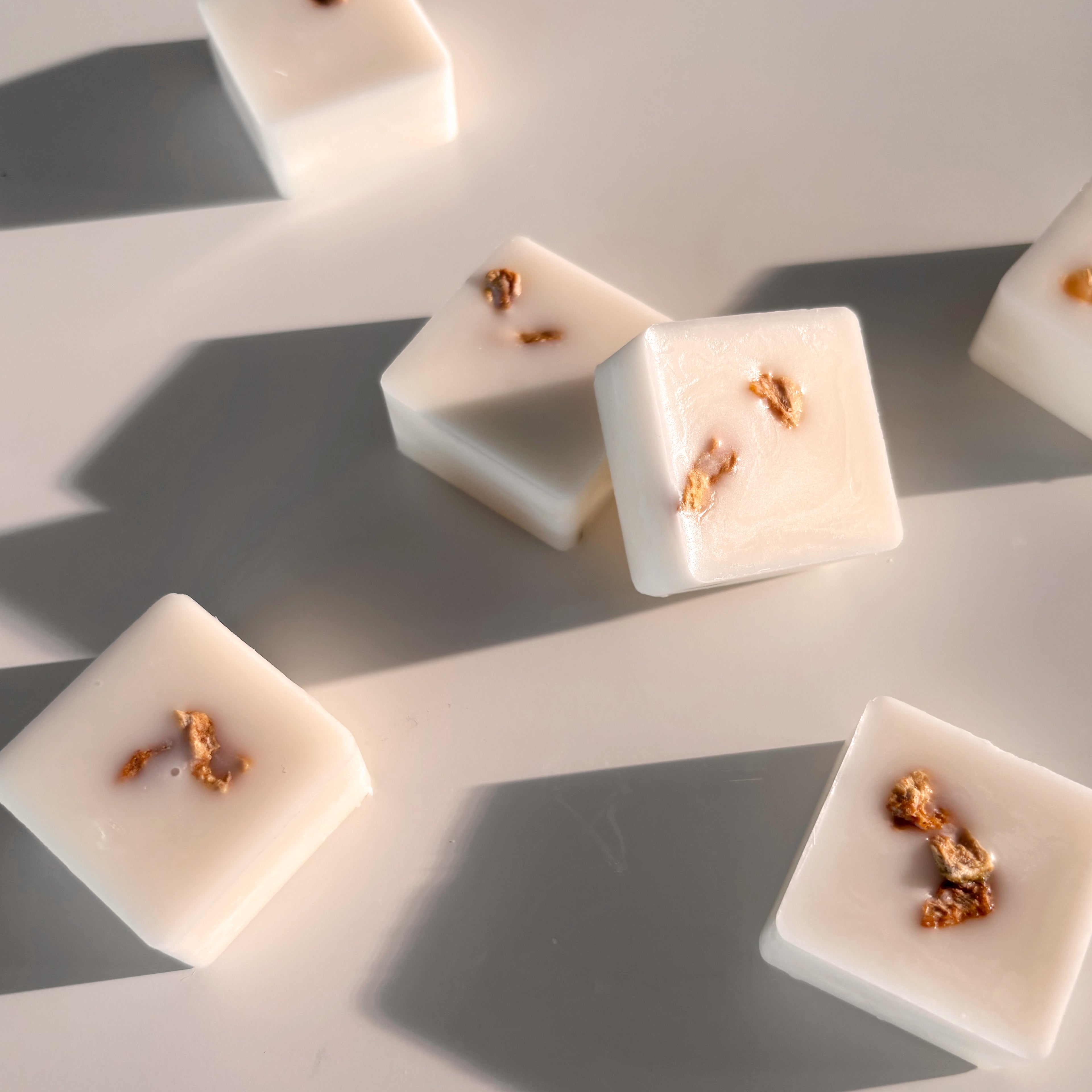 Ginger & Green Tea - 6 Botanical Soy Wax Melts