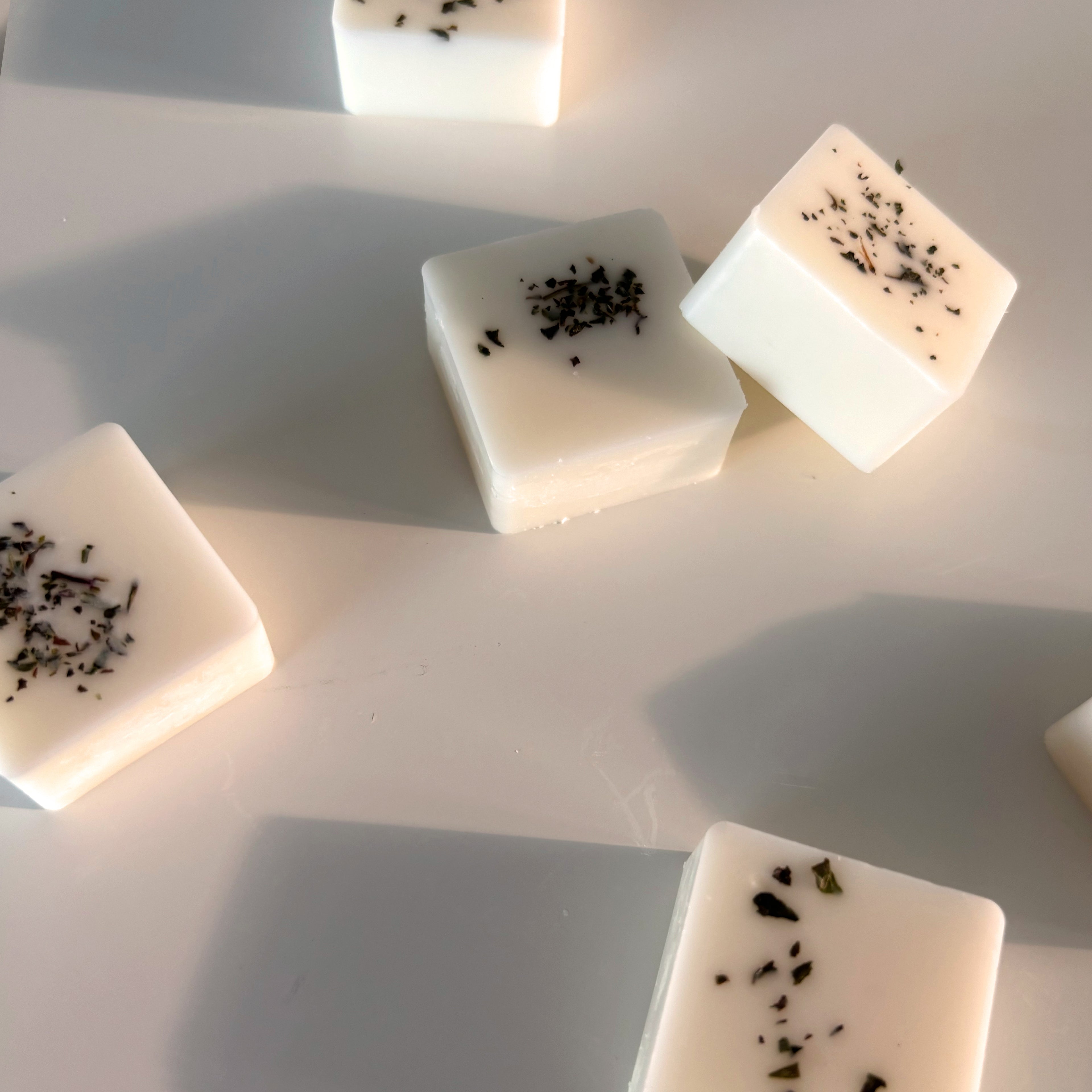 Wild Garden Mint - 6 Botanical Soy Wax Melts